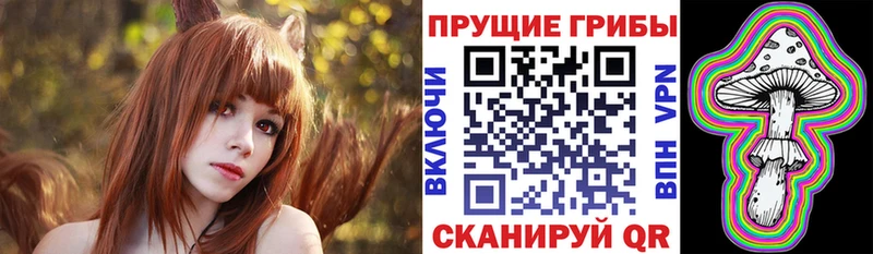 Купить где  Балтийск  Галлюциногенные грибы Psilocybine cubensis 